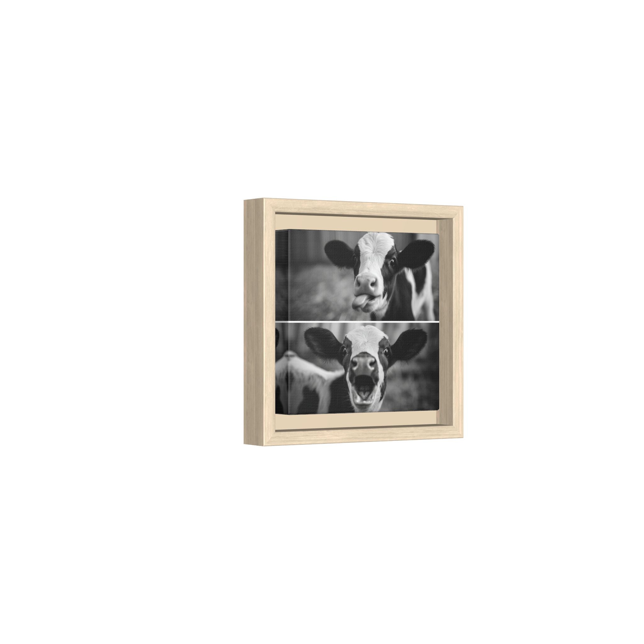 Whimsical Cow Photography | Black and White Animal Art