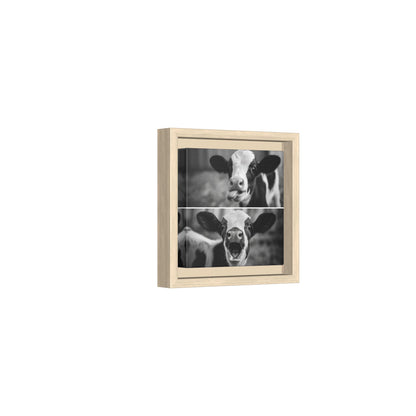 Whimsical Cow Photography | Black and White Animal Art
