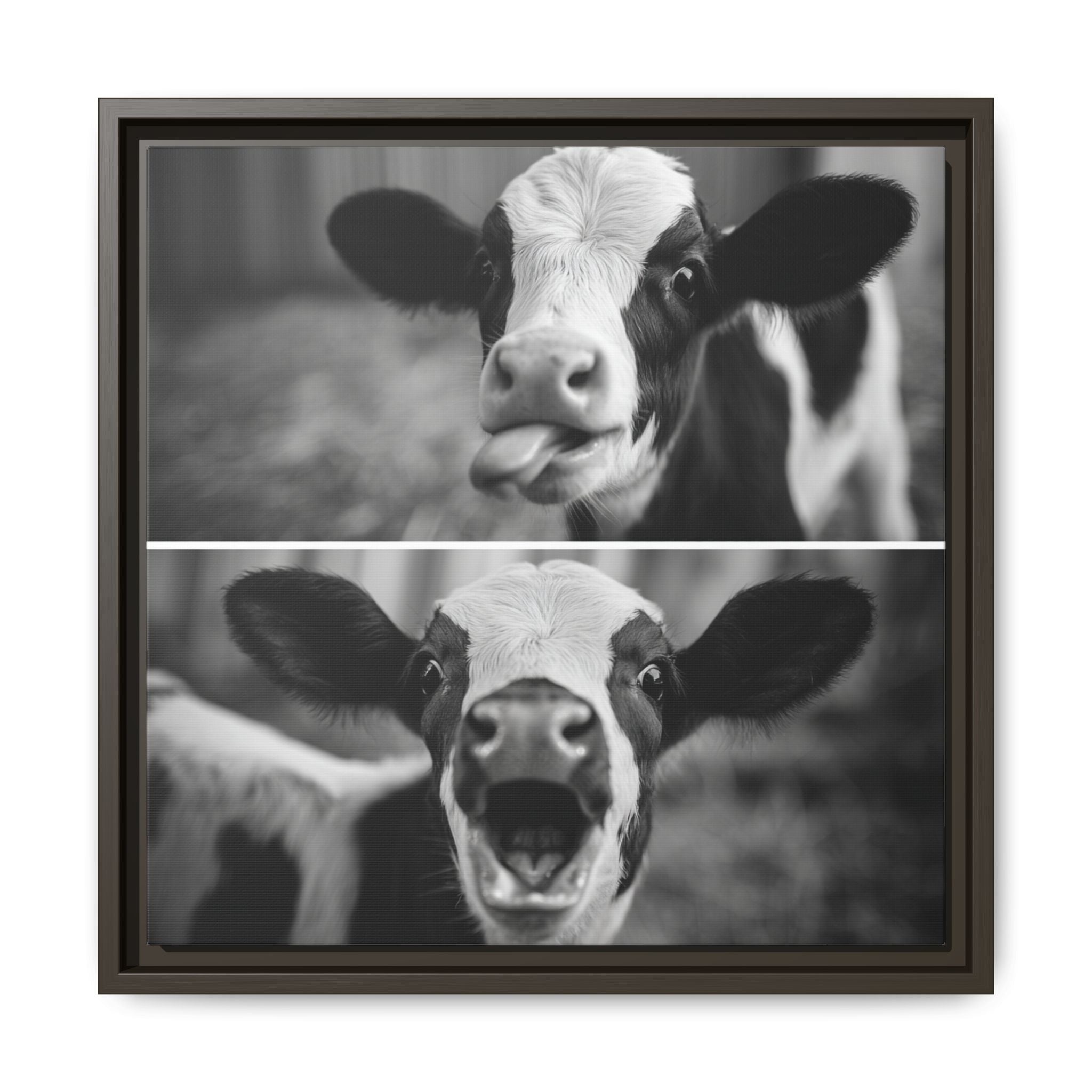 Whimsical Cow Photography | Black and White Animal Art