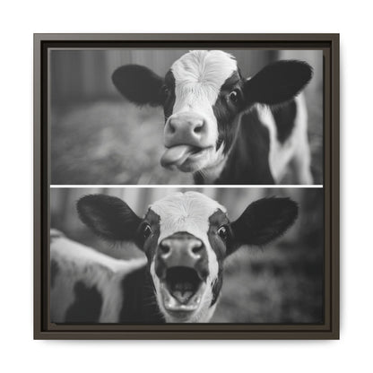 Whimsical Cow Photography | Black and White Animal Art