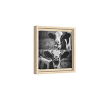 Whimsical Cow Photography | Black and White Animal Art