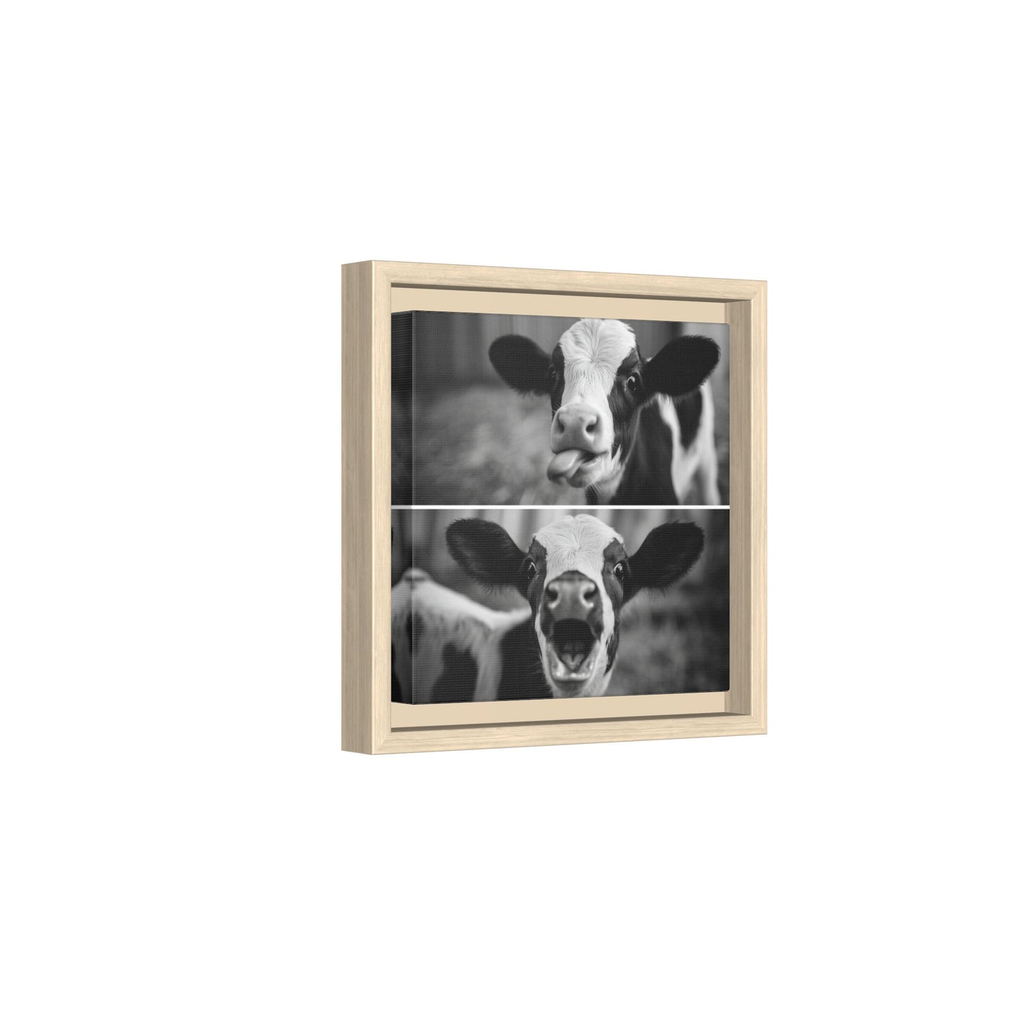 Whimsical Cow Photography | Black and White Animal Art