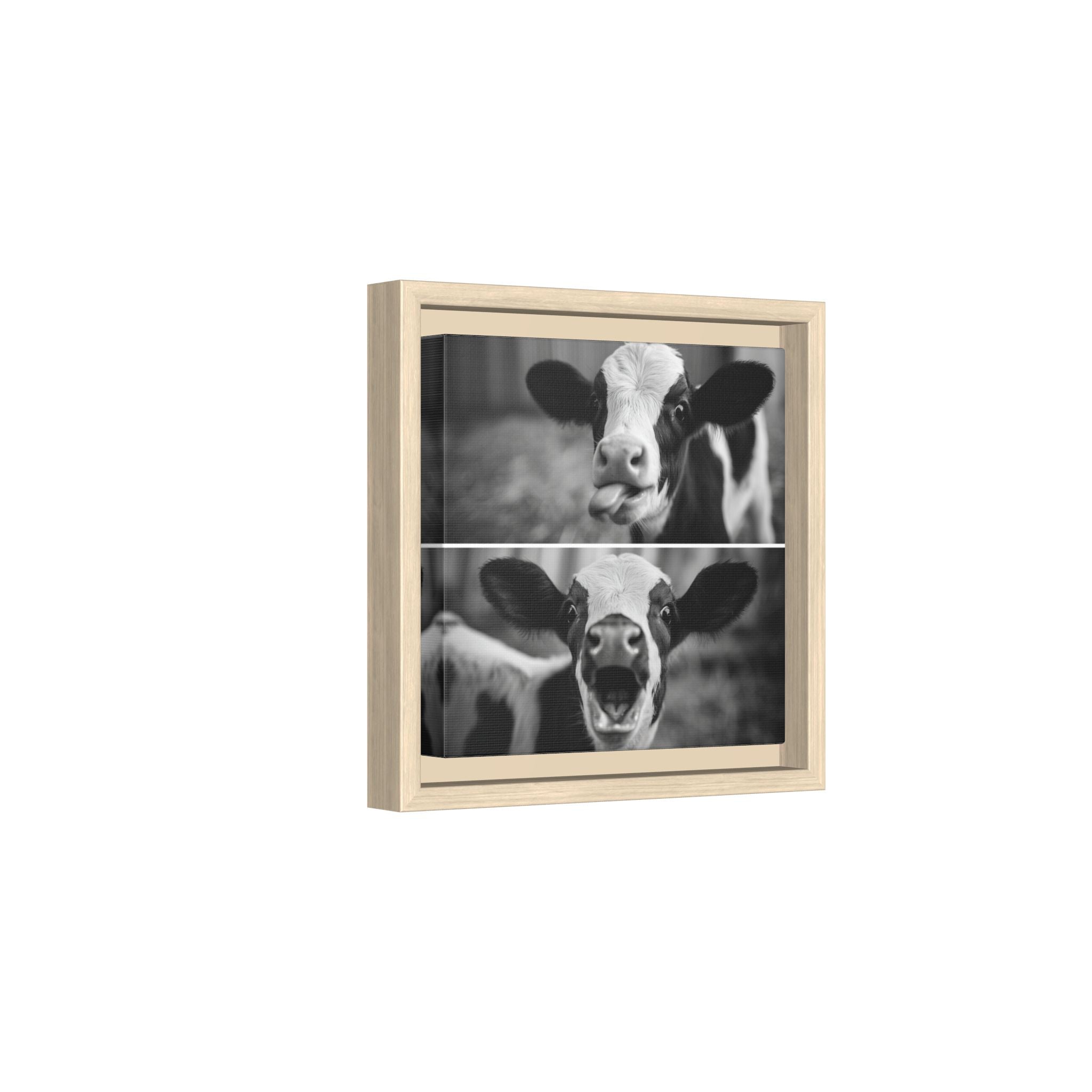 Whimsical Cow Photography | Black and White Animal Art