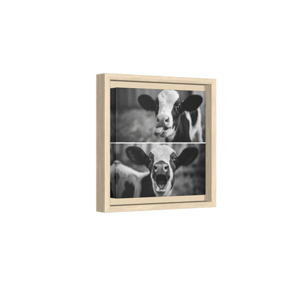 Whimsical Cow Photography | Black and White Animal Art