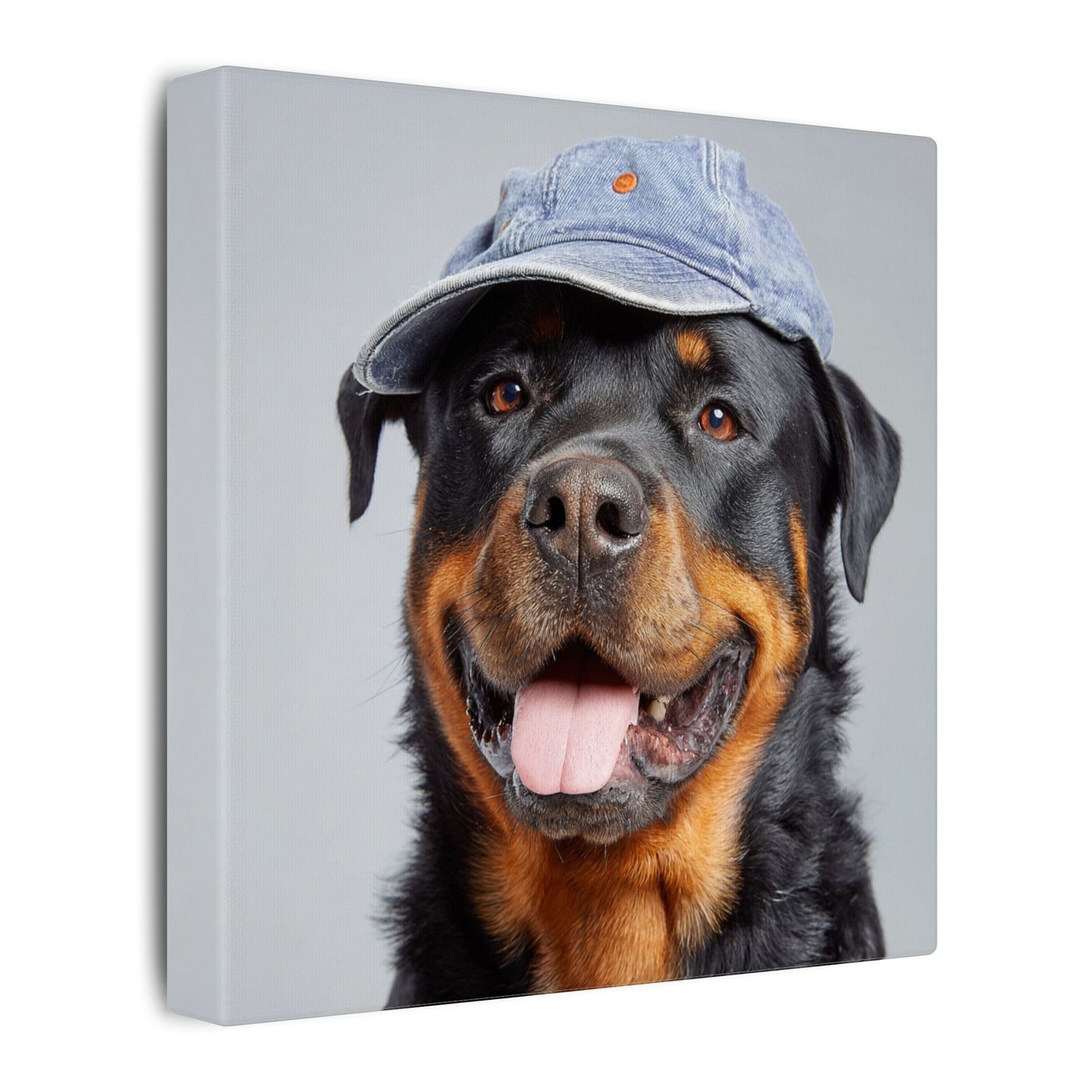 Whimsical Rottweiler Art - Denim Hat Dog Portrait