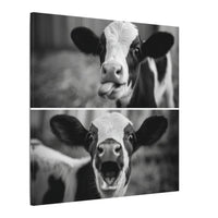 Whimsical Cow Photography | Black and White Animal Art
