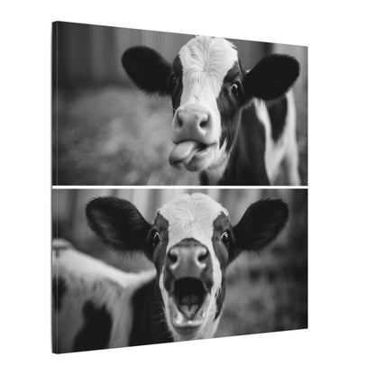 Whimsical Cow Photography | Black and White Animal Art