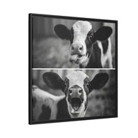 Whimsical Cow Photography | Black and White Animal Art
