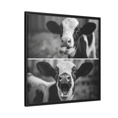 Whimsical Cow Photography | Black and White Animal Art