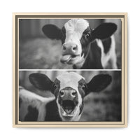 Whimsical Cow Photography | Black and White Animal Art