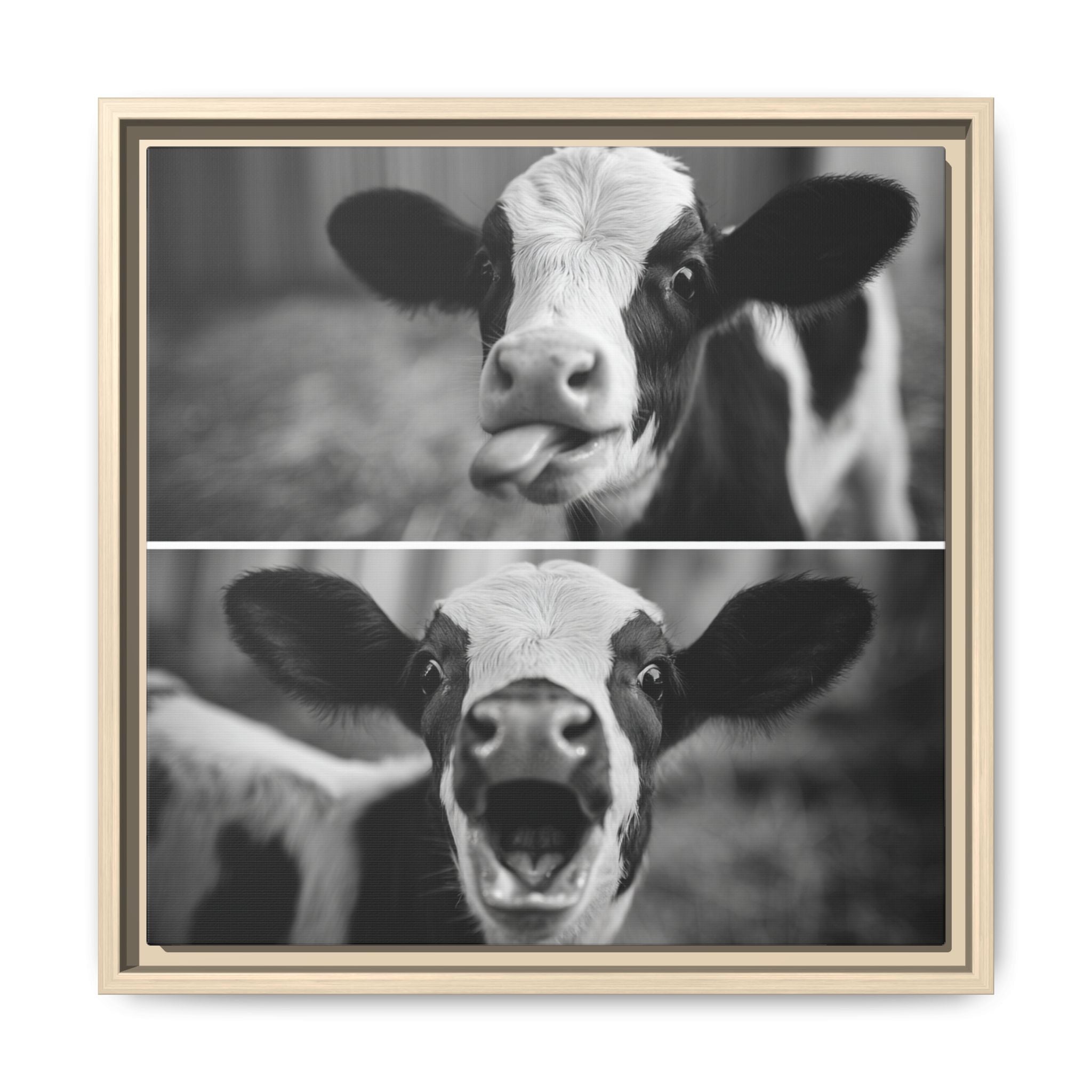 Whimsical Cow Photography | Black and White Animal Art