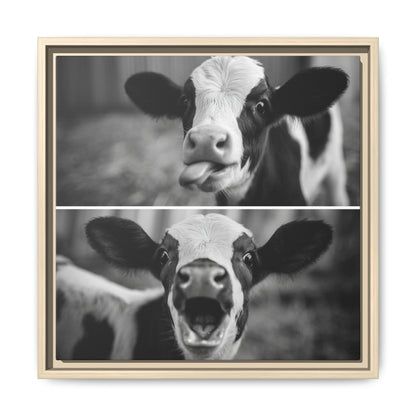 Whimsical Cow Photography | Black and White Animal Art
