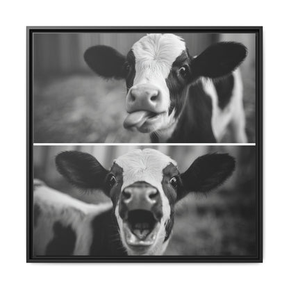 Whimsical Cow Photography | Black and White Animal Art