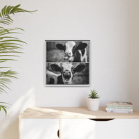 Whimsical Cow Photography | Black and White Animal Art