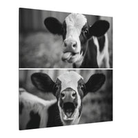 Whimsical Cow Photography | Black and White Animal Art