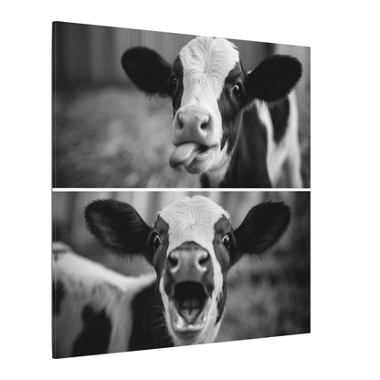 Whimsical Cow Photography | Black and White Animal Art