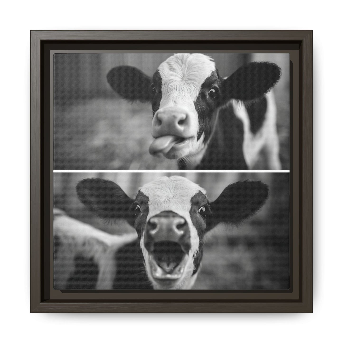 Whimsical Cow Photography | Black and White Animal Art