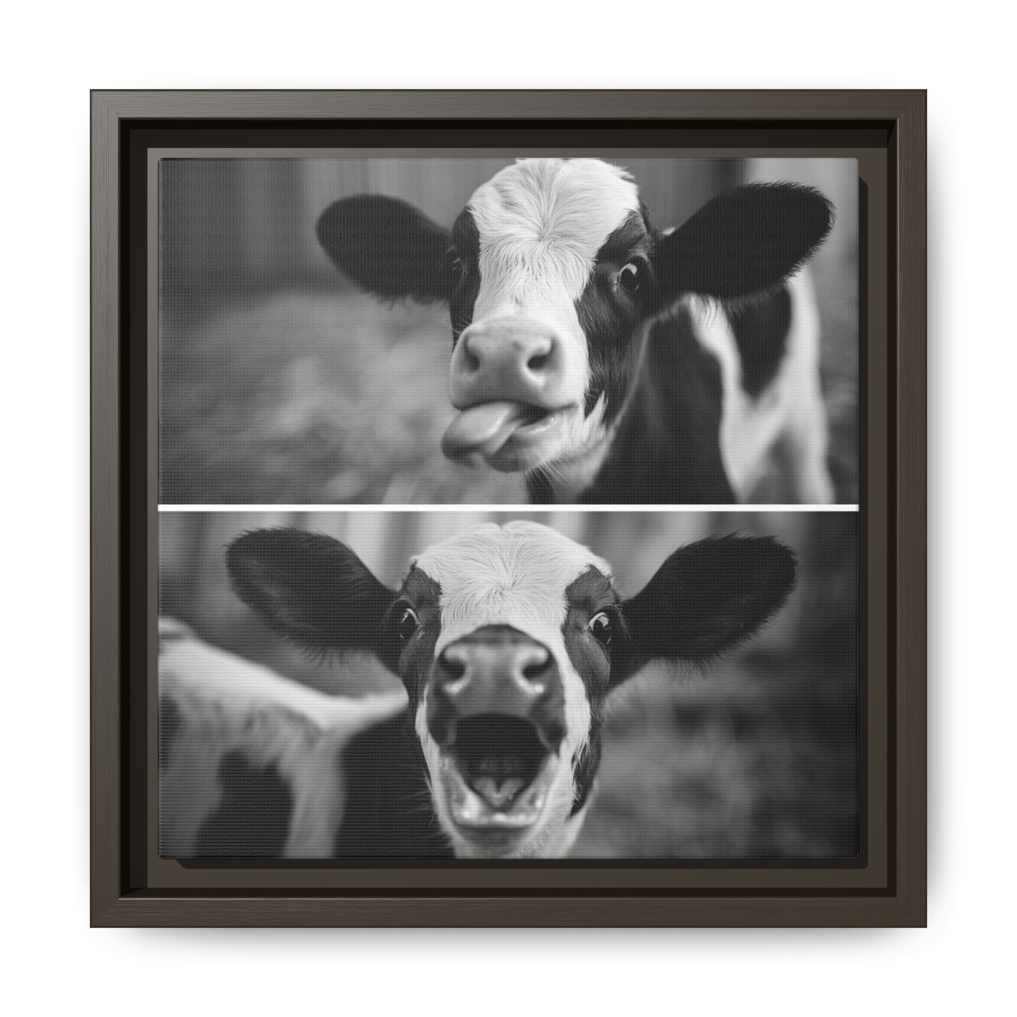 Whimsical Cow Photography | Black and White Animal Art