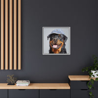 Whimsical Rottweiler Art - Denim Hat Dog Portrait