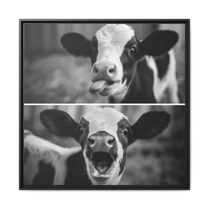 Whimsical Cow Photography | Black and White Animal Art
