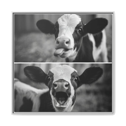 Whimsical Cow Photography | Black and White Animal Art