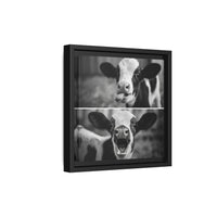Whimsical Cow Photography | Black and White Animal Art
