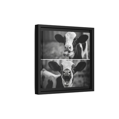 Whimsical Cow Photography | Black and White Animal Art