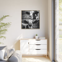 Whimsical Cow Photography | Black and White Animal Art