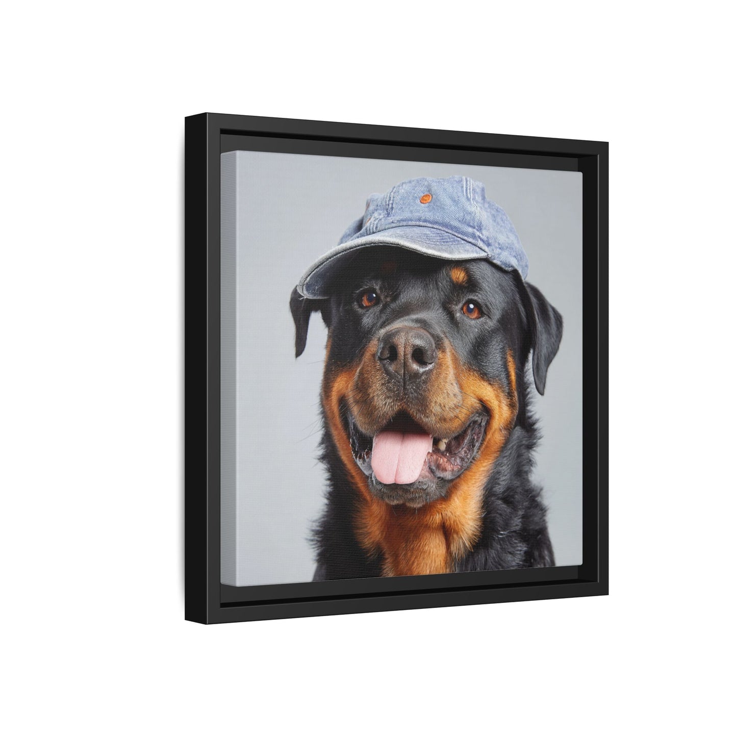 Whimsical Rottweiler Art - Denim Hat Dog Portrait