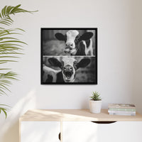 Whimsical Cow Photography | Black and White Animal Art