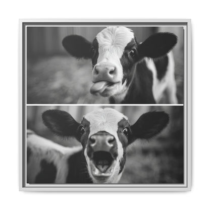 Whimsical Cow Photography | Black and White Animal Art
