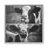 Whimsical Cow Photography | Black and White Animal Art