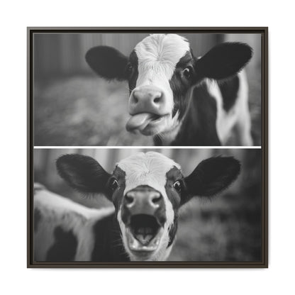 Whimsical Cow Photography | Black and White Animal Art
