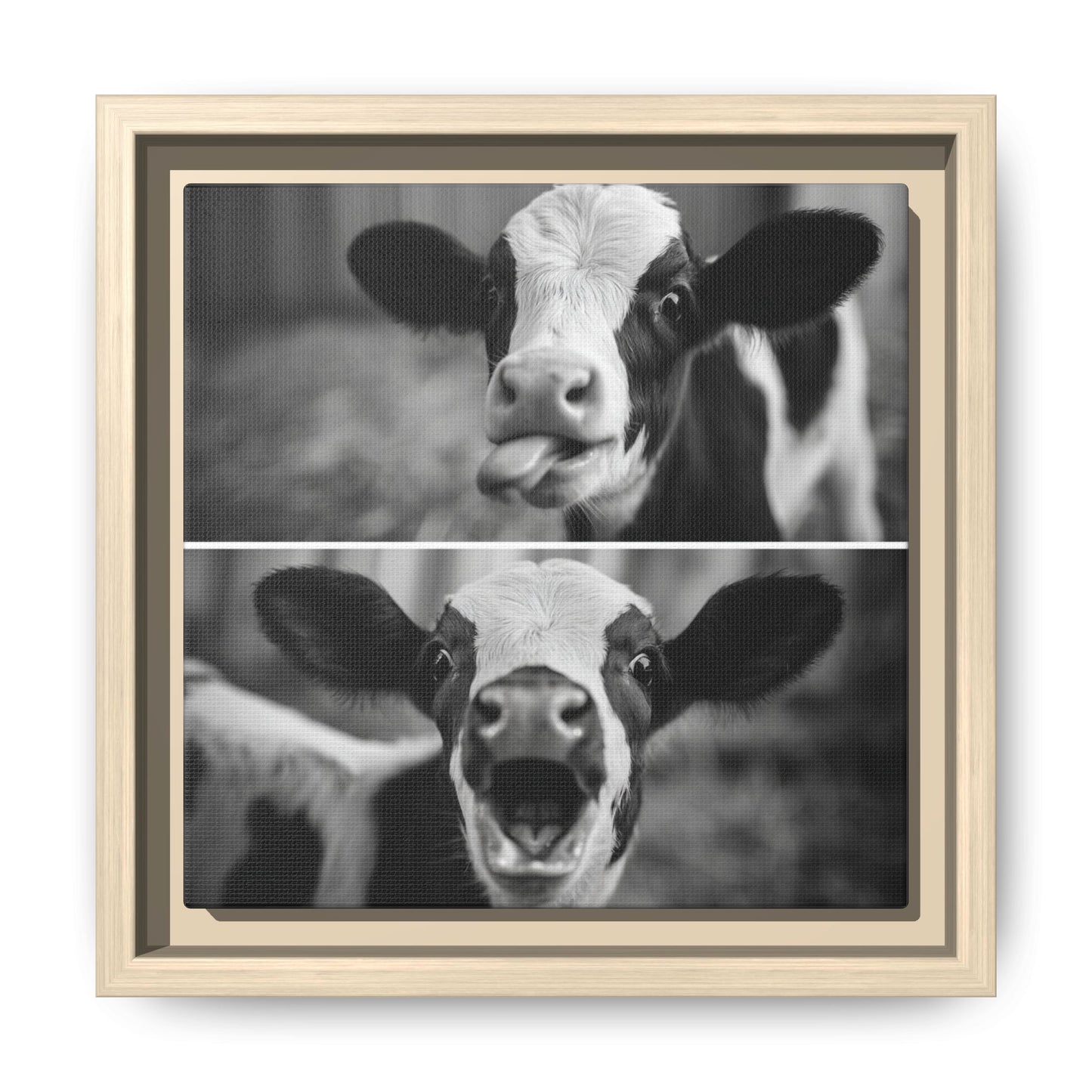 Whimsical Cow Photography | Black and White Animal Art