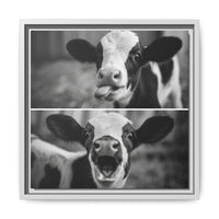 Whimsical Cow Photography | Black and White Animal Art