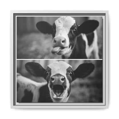 Whimsical Cow Photography | Black and White Animal Art