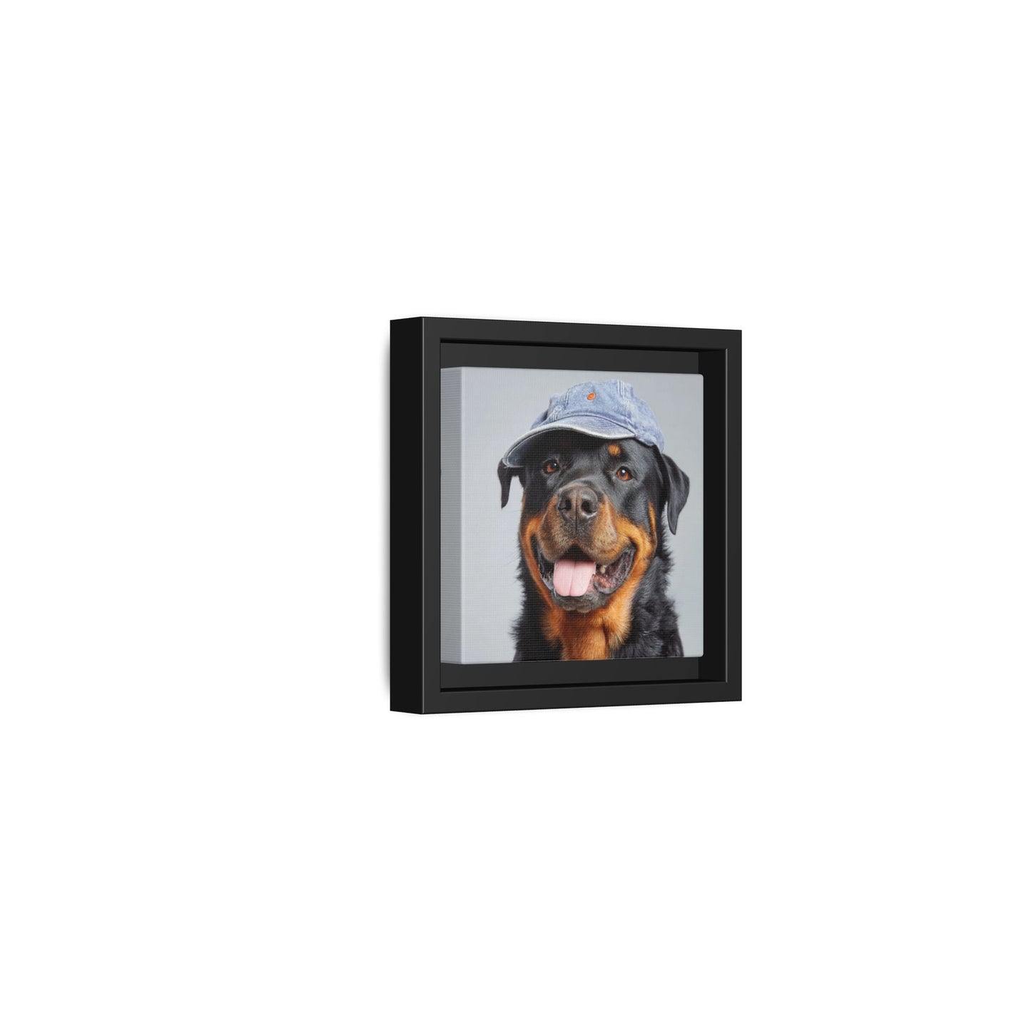Whimsical Rottweiler Art - Denim Hat Dog Portrait