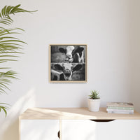 Whimsical Cow Photography | Black and White Animal Art