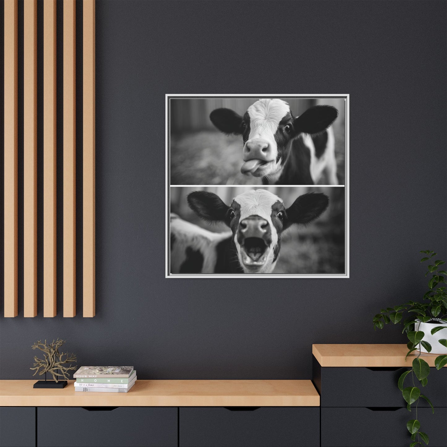Whimsical Cow Photography | Black and White Animal Art