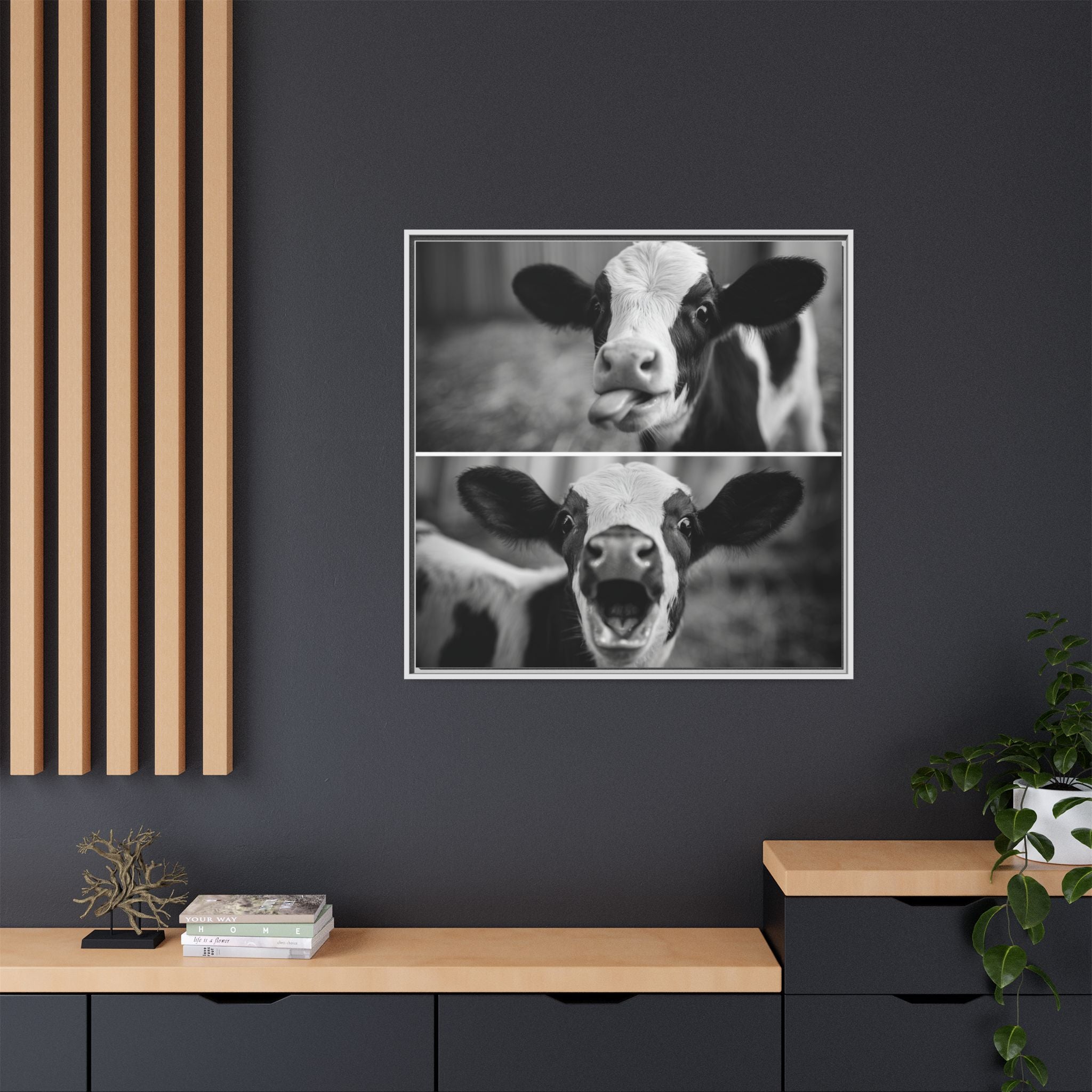 Whimsical Cow Photography | Black and White Animal Art