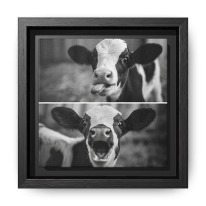 Whimsical Cow Photography | Black and White Animal Art