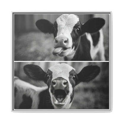 Whimsical Cow Photography | Black and White Animal Art