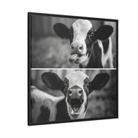 Whimsical Cow Photography | Black and White Animal Art