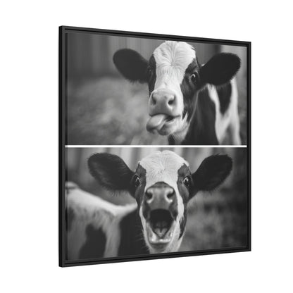 Whimsical Cow Photography | Black and White Animal Art