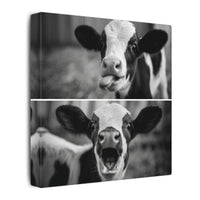 Whimsical Cow Photography | Black and White Animal Art