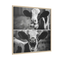 Whimsical Cow Photography | Black and White Animal Art