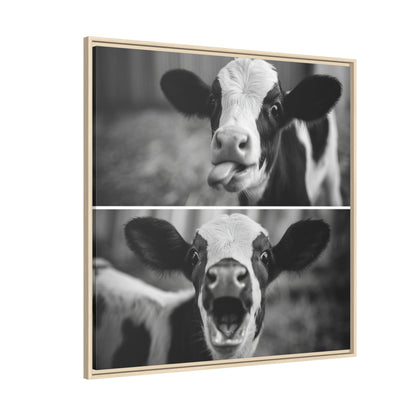 Whimsical Cow Photography | Black and White Animal Art
