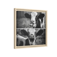 Whimsical Cow Photography | Black and White Animal Art