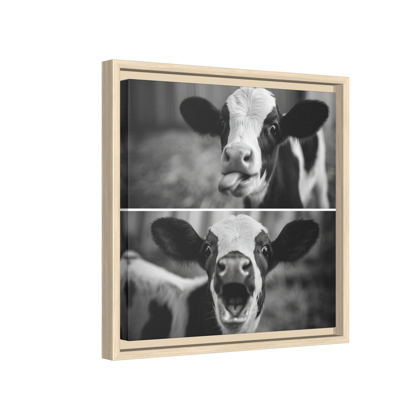 Whimsical Cow Photography | Black and White Animal Art