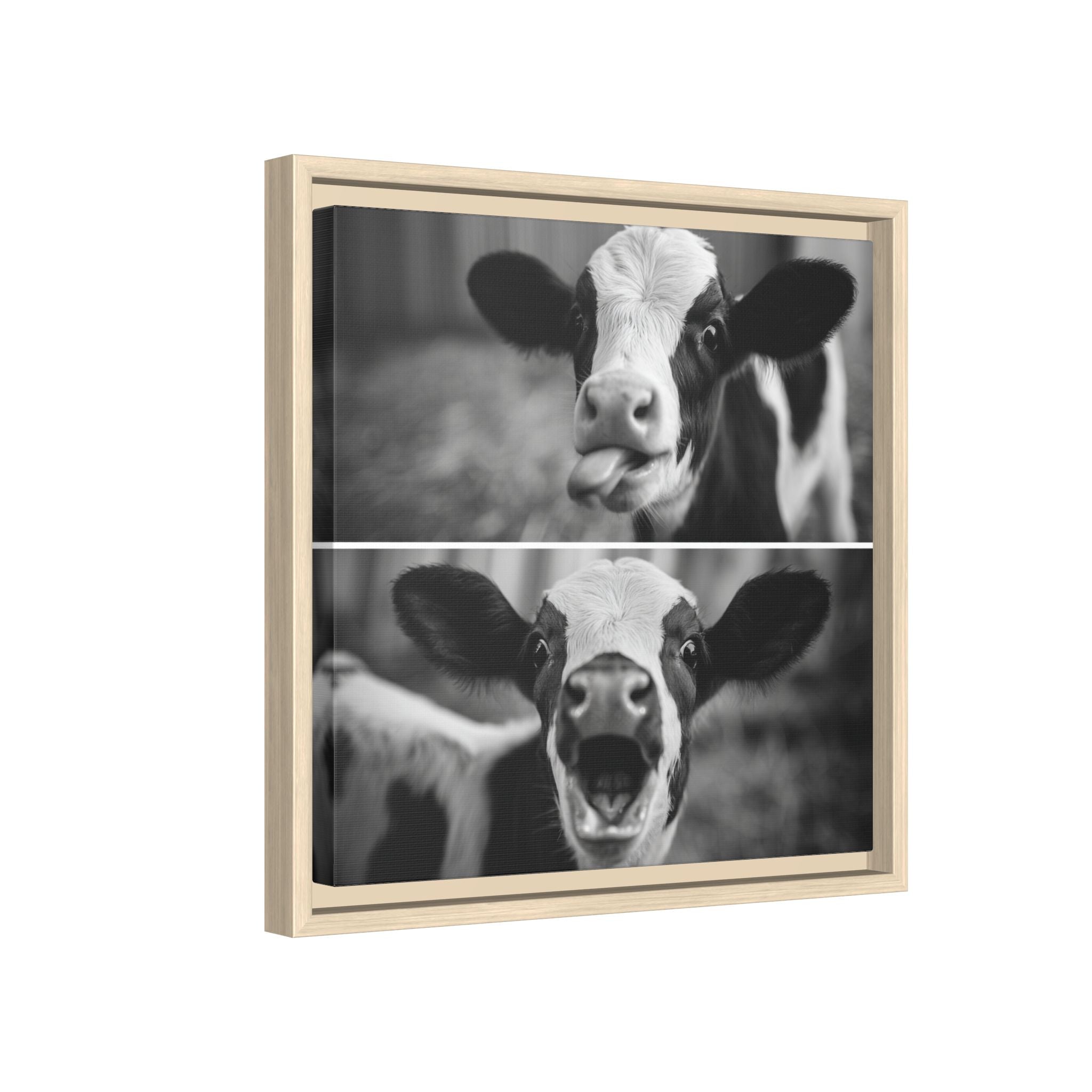 Whimsical Cow Photography | Black and White Animal Art
